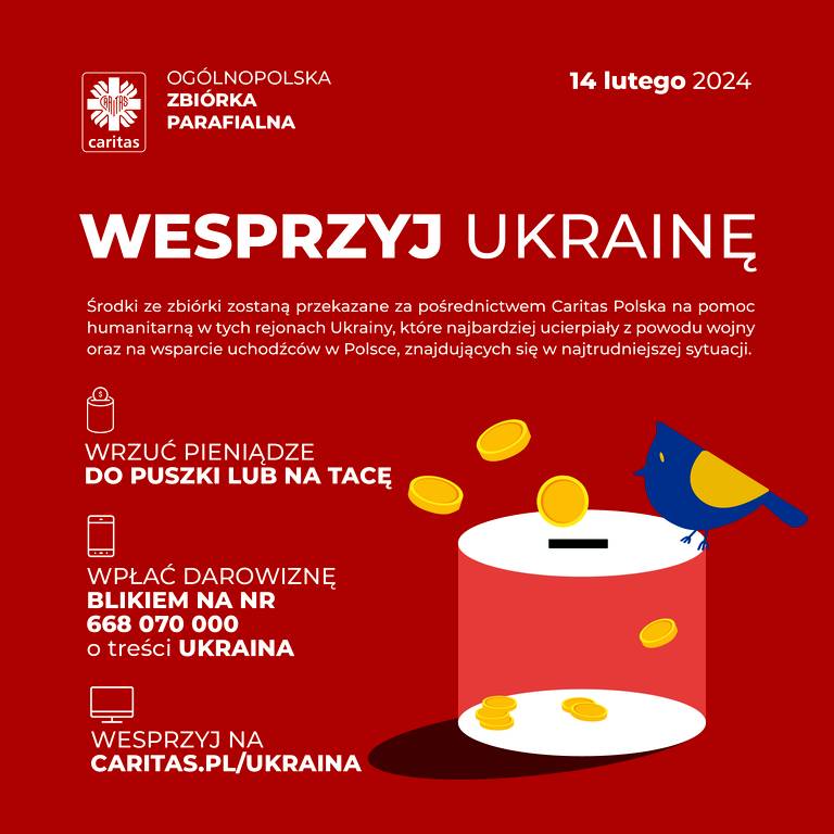 141042 2024 02 13 01