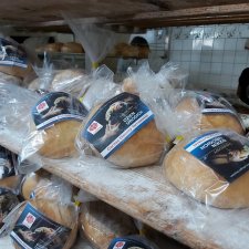 Obchody Światowego Dnia Ubogich